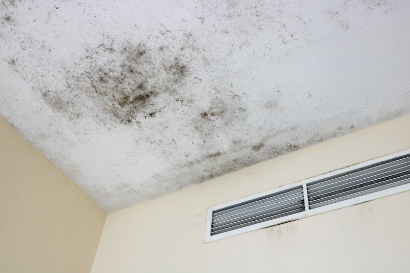 Ceiling mold close to air duct